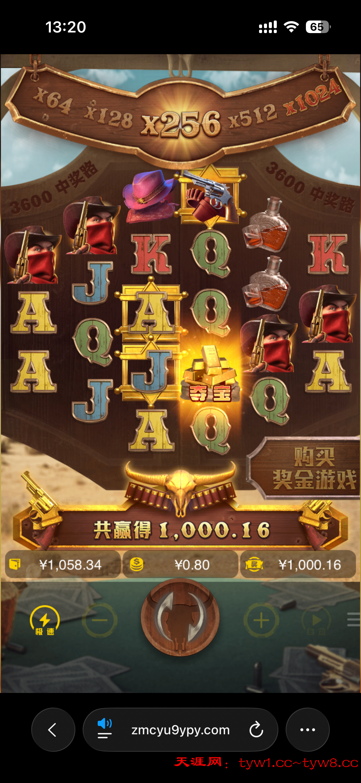 IMG_9557.png