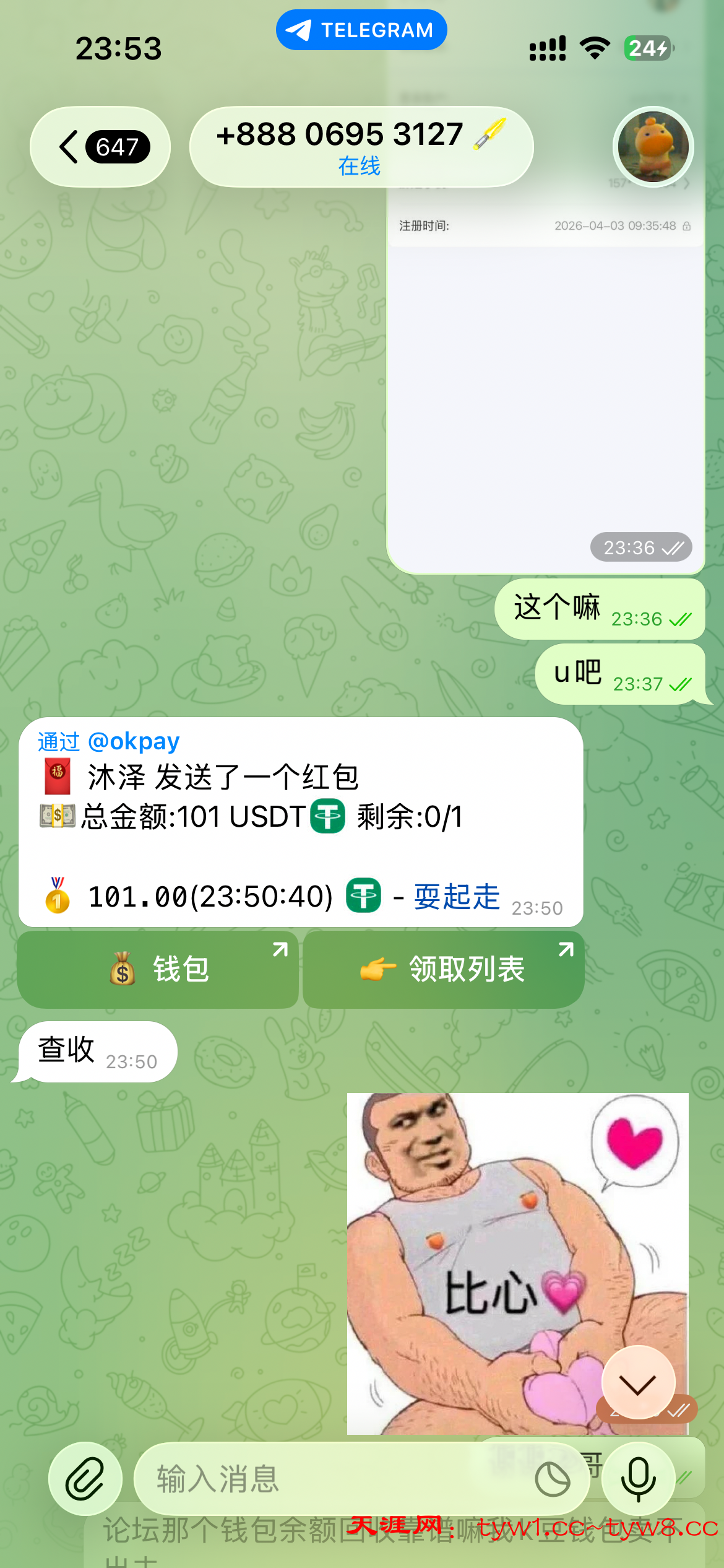 IMG_7378.png